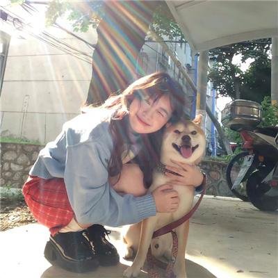 女贼金丝猫